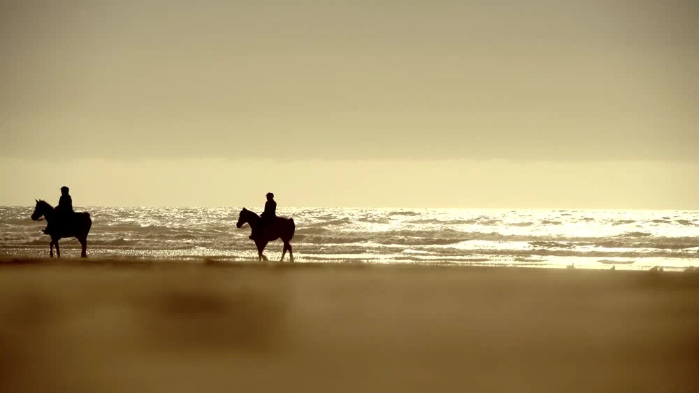 Cabalgata junto al mar